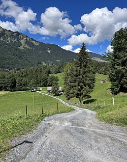 Chemin de la Luy