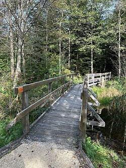 Joli pont à proximité d’un étang