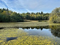 L'étang de la Bressonne