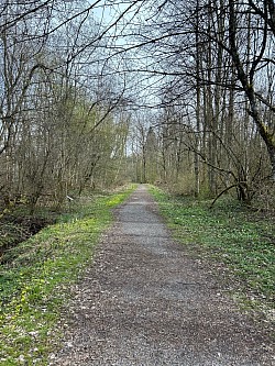 Suite du parcours sur un sentier gravillonné en direction de l’étang de la Bressonne