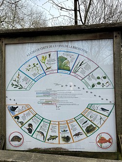 La roue de la faune et de la flore de l’étang de la Bressonne