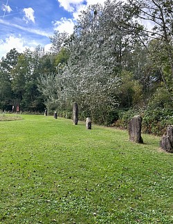 La jolie prairie qui abrite les statues-menhirs