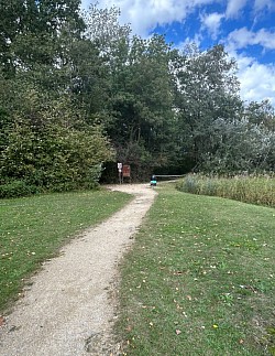 Sortie du site Néolithique, ensuite direction le sentier de la Grande Cariçaie