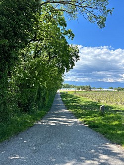 Entrée du chemin de