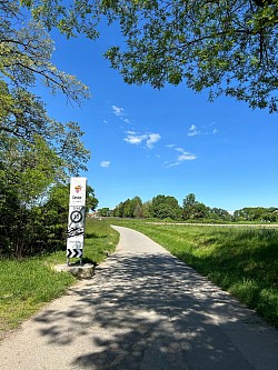 Suite de la balade au milieu de champs et vignes