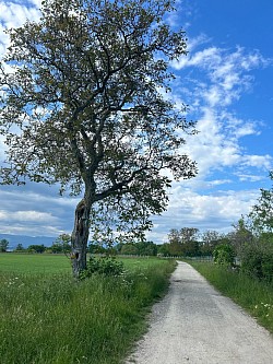 Joli espace bucolique à proximité du village d’Hermance