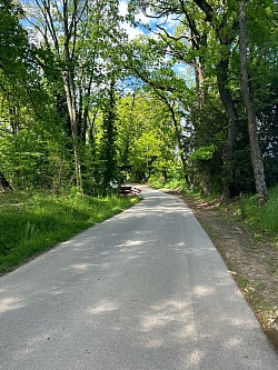 Petit chemin de type forestier à proximité d’Hermance