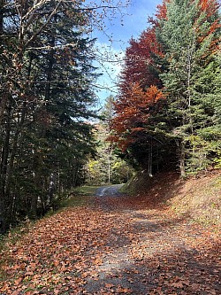 Autre vue du sentier au décor automnal