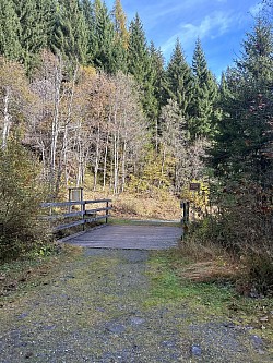 Le petit pont en bas du sentier