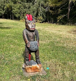 À la découverte du petit diable noir et rouge