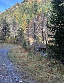 Le petit pont en bois