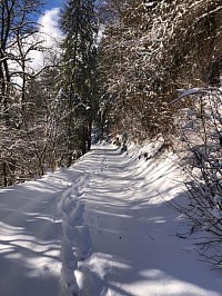 Sentier du Renardeau