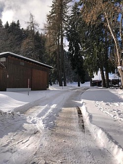 Chemin pour rejoindre le parc à biches