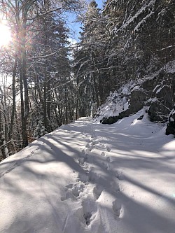 Départ du sentier du renardeau