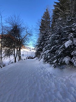 À mi-parcours sur le sentier du renardeau