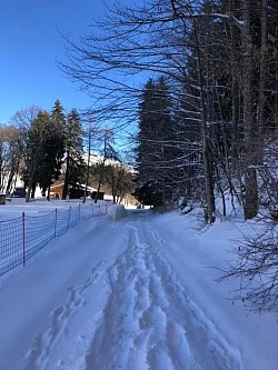 Fin du sentier